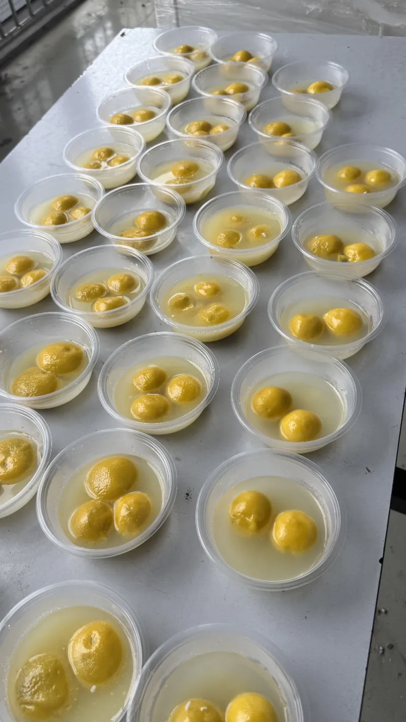 लालटेन महोत्सव शूएरुई लोगों के लिए पारिवारिक पुनर्मिलन की गर्माहट लाता है